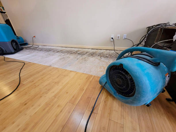 Professional Flood Damage Cleanup technician working in Punta Gorda, FL